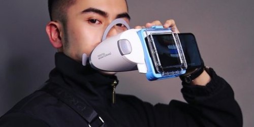 273856117_243052981353111_5627515345561451880_n